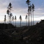 Sumas Mountain Lost Lake Expedition: A Beautiful Post-apocalyptic Wasteland on the Northern Frontier